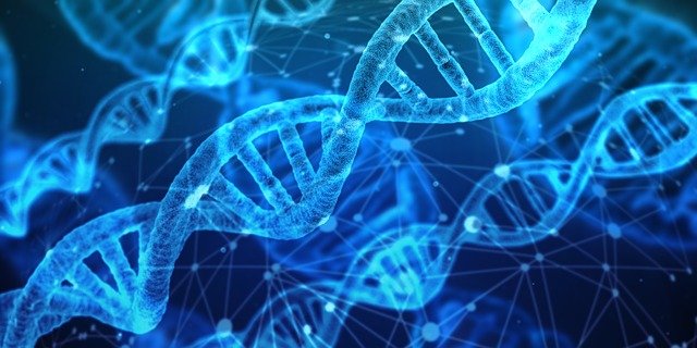Ingeniería Genética ¿Dónde Estudiar la Carrera?